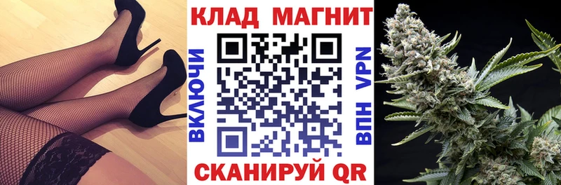 Где купить наркоту Острогожск Псилоцибиновые грибы  Alpha PVP  Меф мяу мяу  COCAIN  МЕТАДОН  МАРИХУАНА 