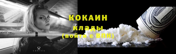 гашик Арсеньев