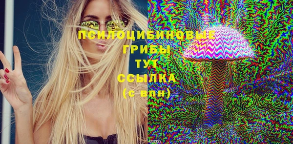гашик Арсеньев