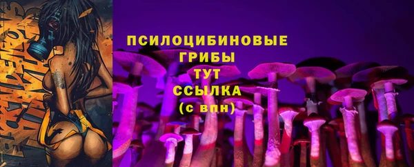 а пвп мука Армянск