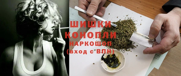гашик Арсеньев