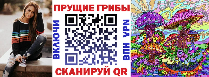 Галлюциногенные грибы Psilocybe Острогожск
